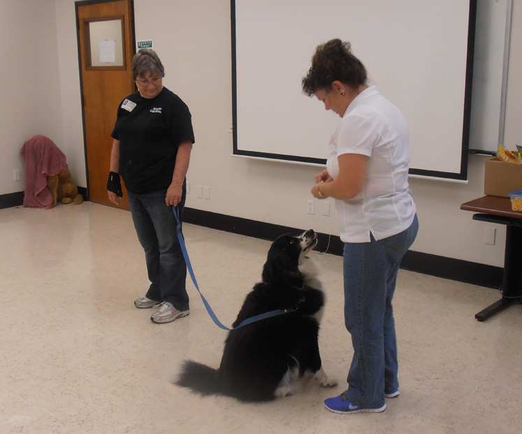 Nancy giving a workshop about dog training